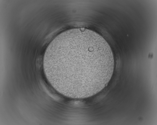 X0000112980165200910081118