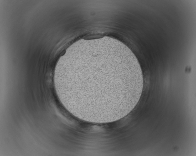 X0000112980166200910081118