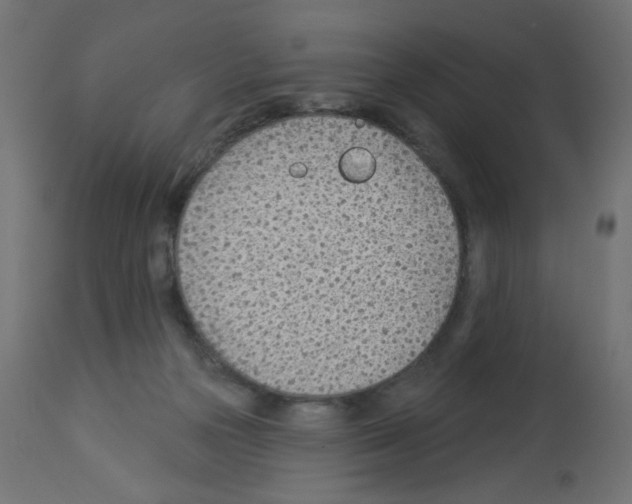 X0000112980169200910081118