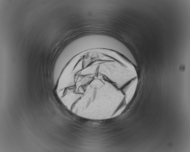 X0000112980170200910081118