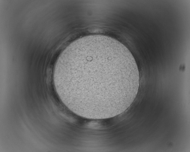 X0000112980171200910081118