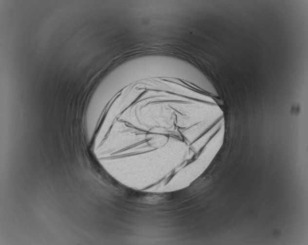 X0000112980172200910081118