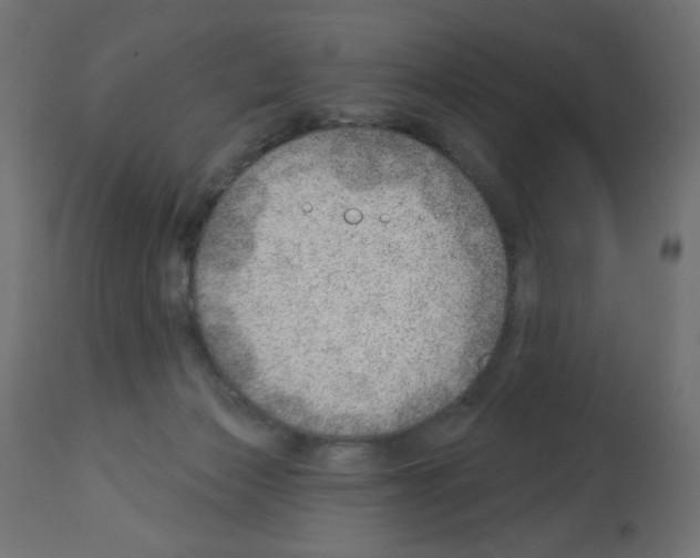 X0000112980173200910081118