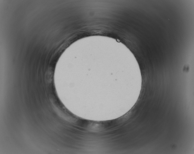 X0000112980174200910081118