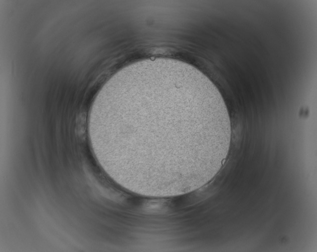 X0000112980175200910081118