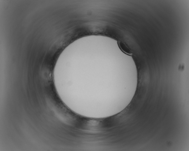 X0000112980176200910081118