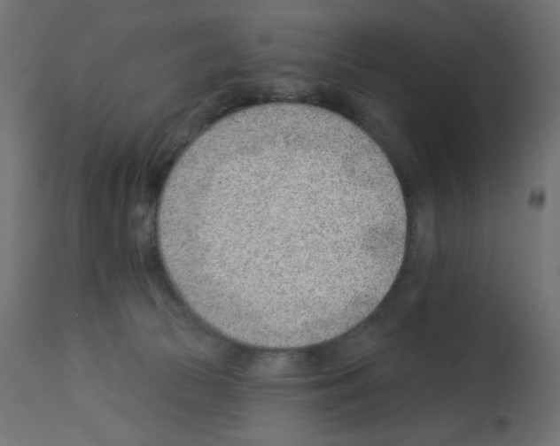 X0000112980177200910081118