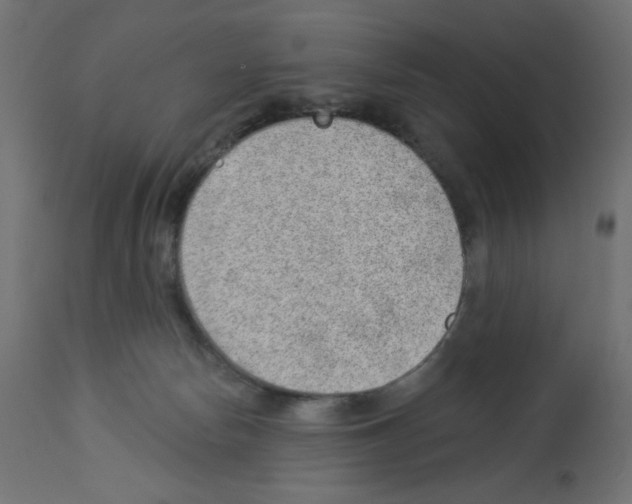 X0000112980178200910081118