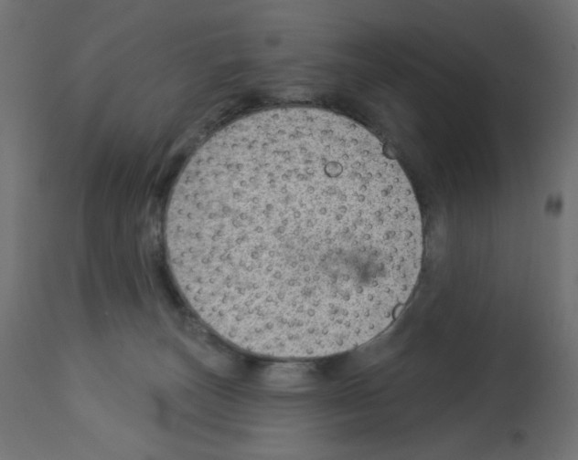X0000112980179200910081118