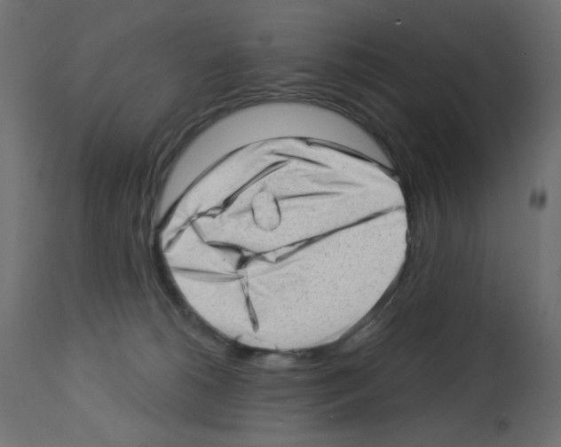 X0000112980180200910081118
