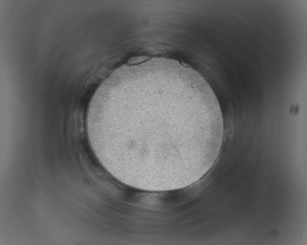 X0000112980182200910081118