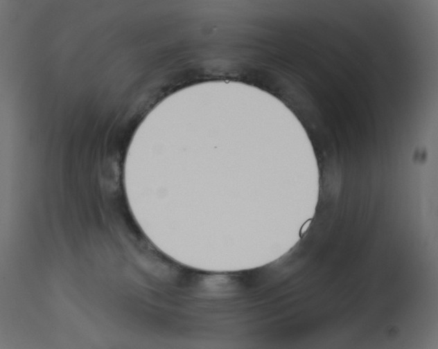 X0000112980183200910081118