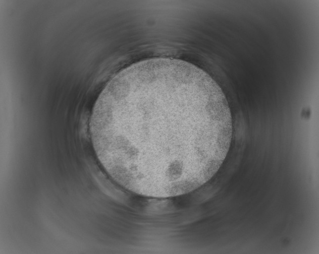 X0000112980185200910081118