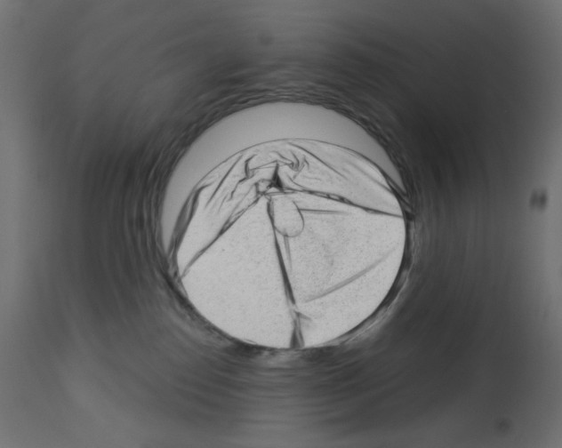 X0000112980186200910081118