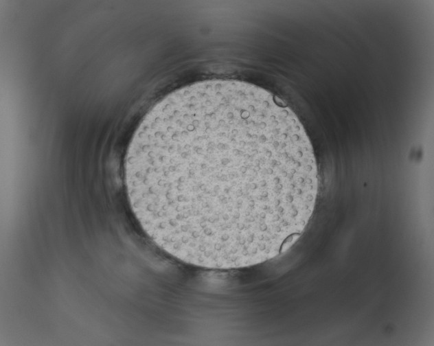 X0000112980187200910081118