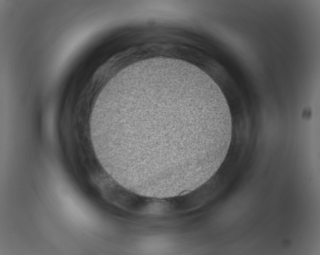 X0000112980189200910081118