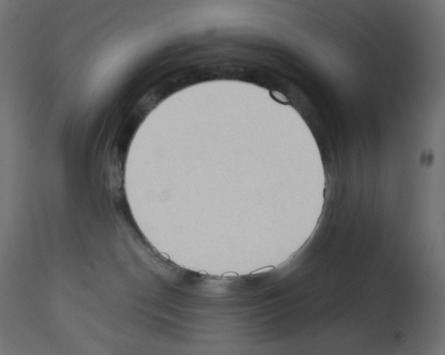 X0000112980190200910081118