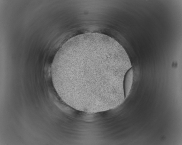 X0000112980191200910081118