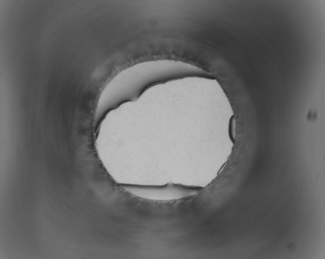 X0000112980192200910081118