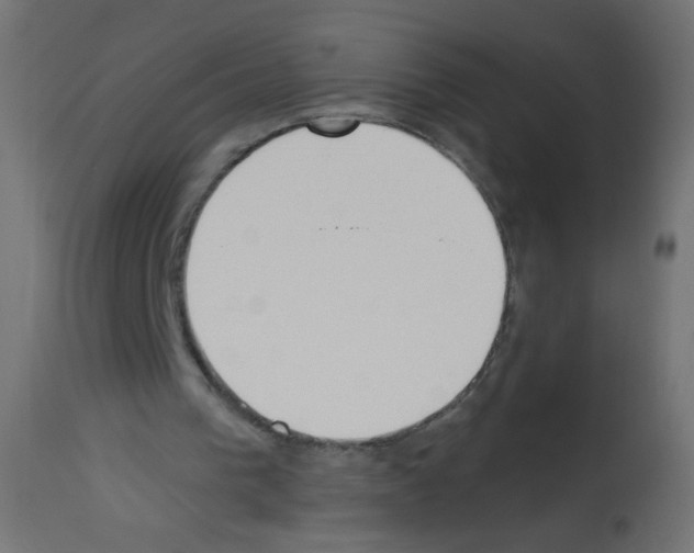 X0000112980193200910081118
