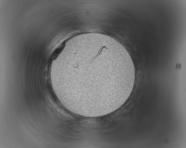 X0000112980194200910081118