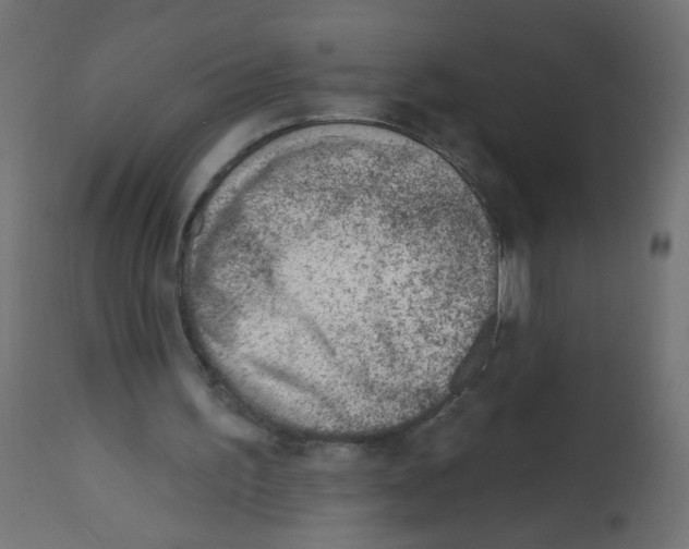 X0000112980195200910081118