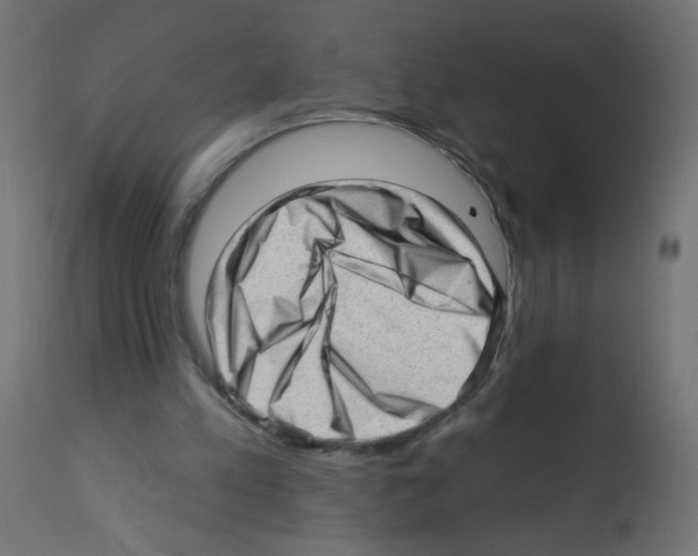 X0000112980197200910081118