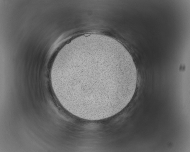 X0000112980198200910081118