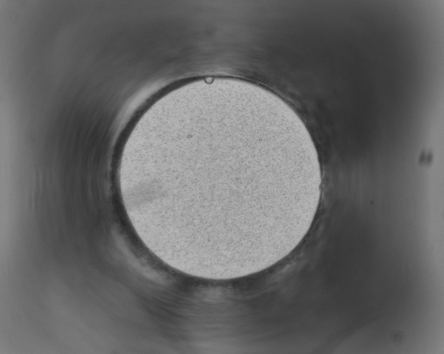 X0000112980200200910081118