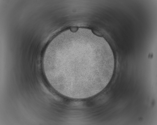 X0000112980202200910081118