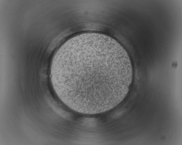 X0000112980203200910081118