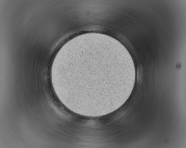 X0000112980204200910081118