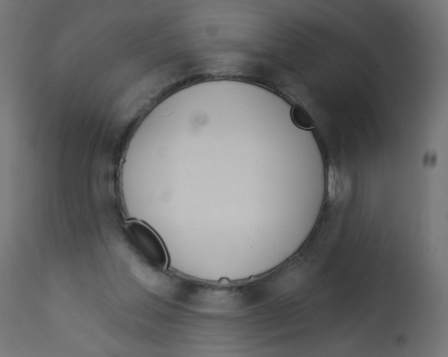 X0000112980205200910081118
