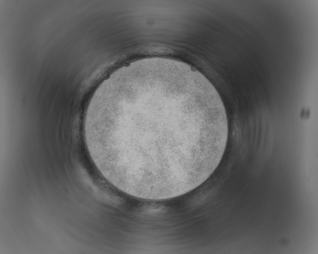 X0000112980206200910081118