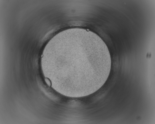 X0000112980207200910081118