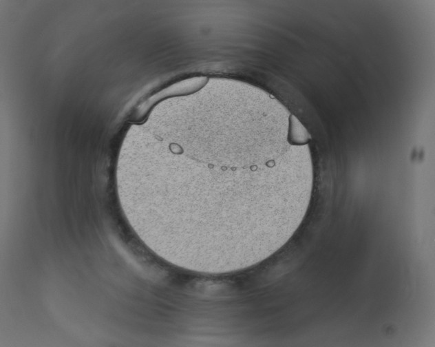 X0000112980208200910081118