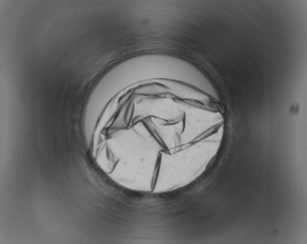 X0000112980209200910081117