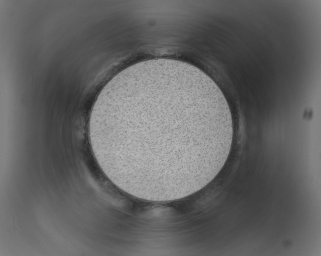 X0000112980210200910081117