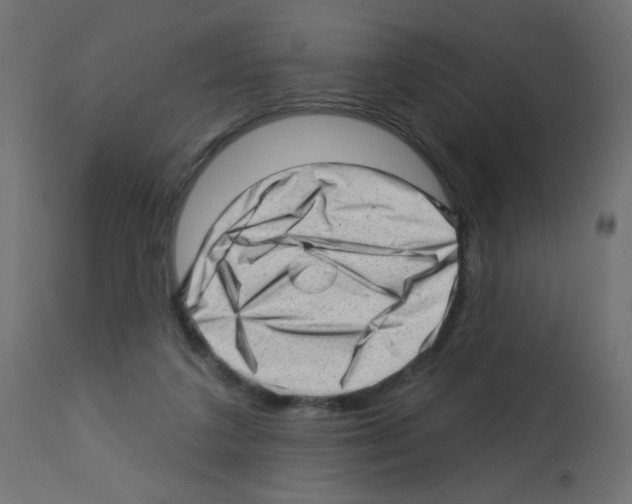 X0000112980211200910081117