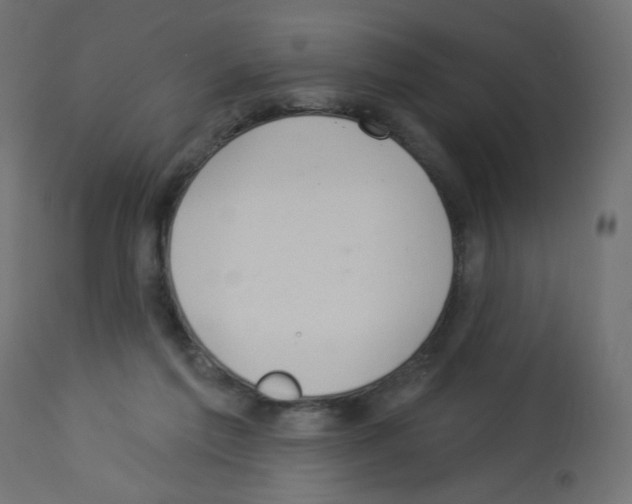 X0000112980213200910081117