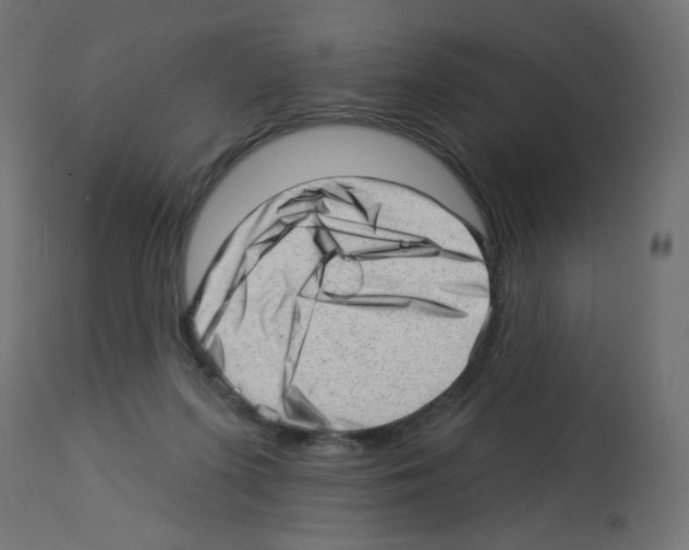 X0000112980215200910081117