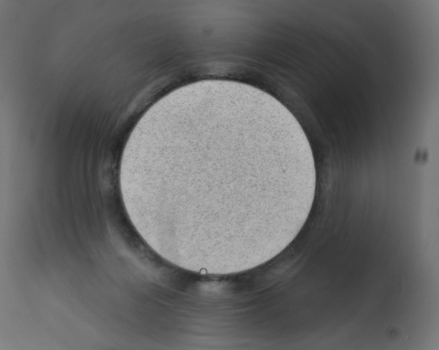 X0000112980216200910081117