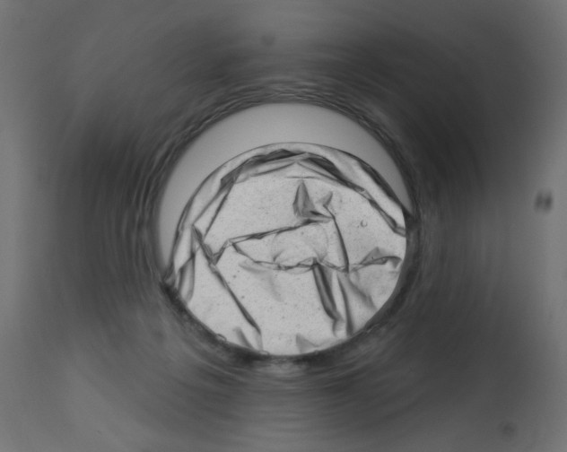 X0000112980217200910081117