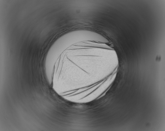 X0000112980221200910081117
