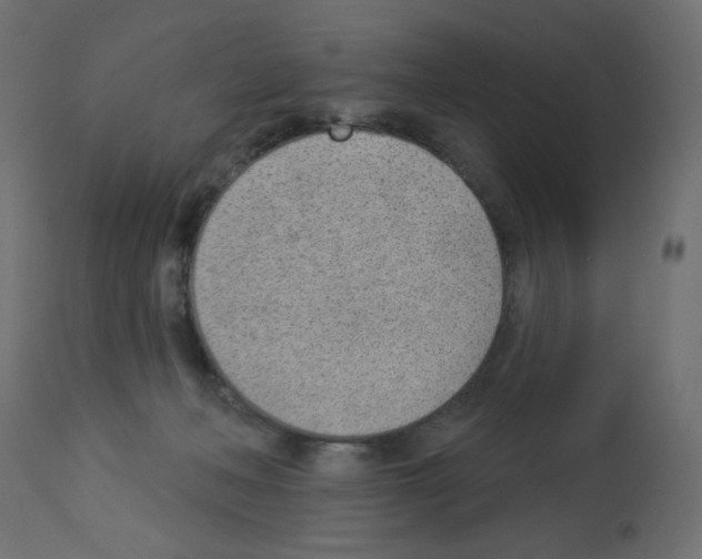 X0000112980222200910081117