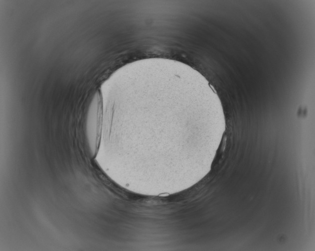 X0000112980223200910081117