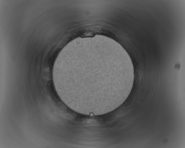X0000112980224200910081117