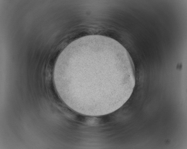 X0000112980226200910081117