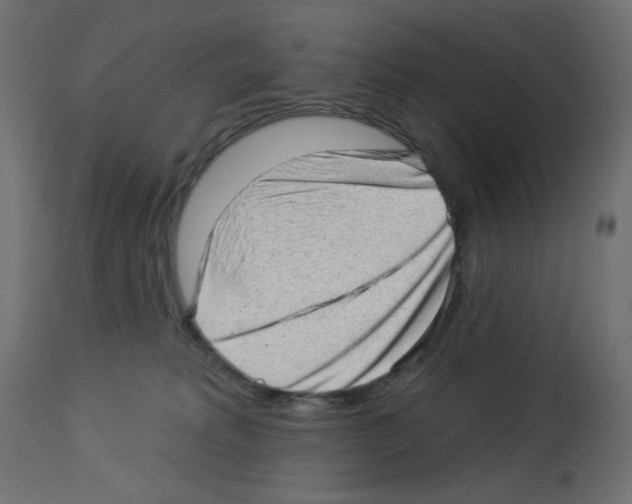 X0000112980229200910081117