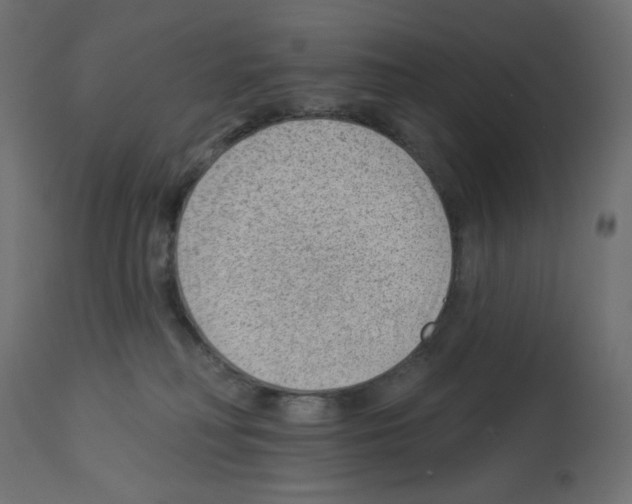 X0000112980230200910081117
